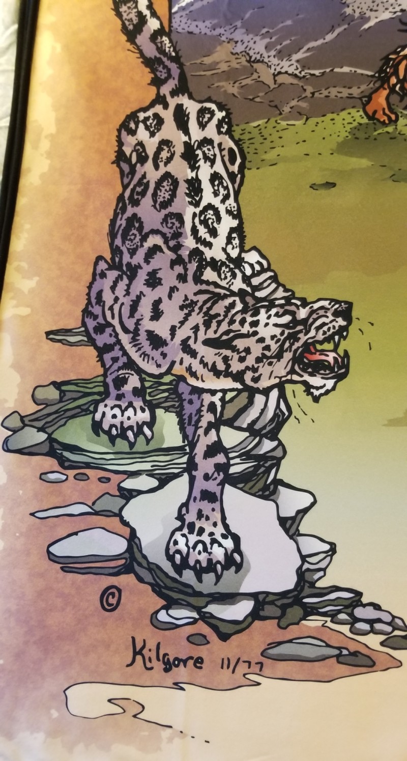 leopard.jpg